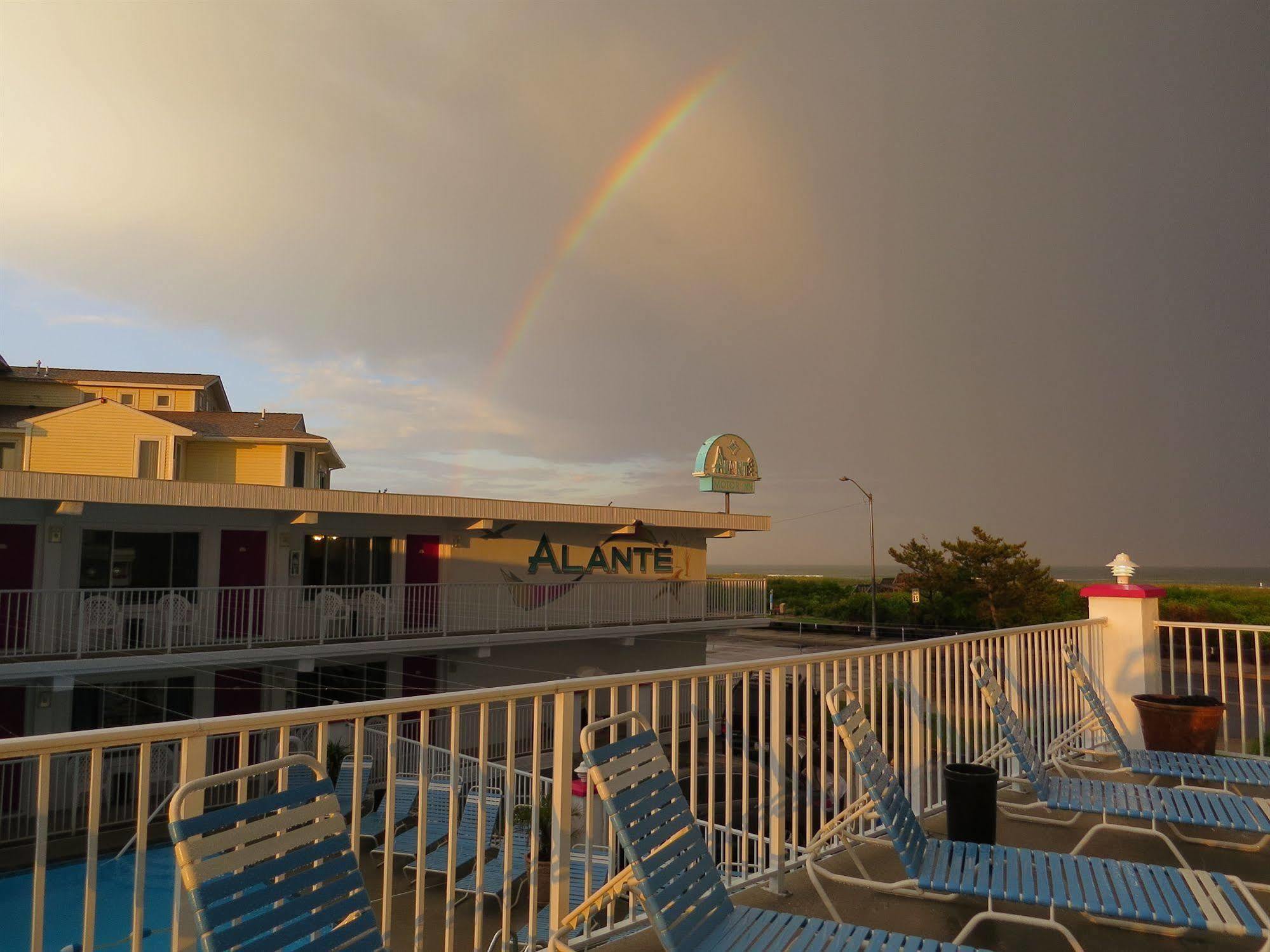 Alante Oceanfront Motor Hotel Норт Уайлдууд Екстериор снимка